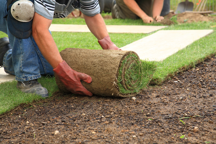 Interlocking & Landscaping Completion